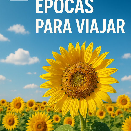 🌤️ Melhores Épocas para Viajar: Quando Visitar os Destinos Mais Populares do Mundo